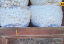 पूरे देश में धूम मचा रही है ये खास मिठाई, UP में केवल यहां होती है तैयार