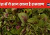 पोषक तत्वों से भरा ये साग शरीर में फूंक देगा जान, नस-नस में लबालब भर जाएगा खून, स्वाद ऐसा कि इसके सामने कई साग फेल