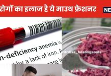 शरीर में आयरन की कमी, पाचन की गड़बड़ी दूर करेगा घर का बना ये आयुर्वेदिक माउथ फ्रेशनर, जानें बनाने, स्टोरेज और सेवन का तरीका