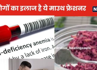 शरीर में आयरन की कमी, पाचन की गड़बड़ी दूर करेगा घर का बना ये आयुर्वेदिक माउथ फ्रेशनर, जानें बनाने, स्टोरेज और सेवन का तरीका
