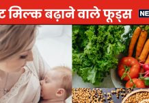 World Breastfeeding Week 2024: नहीं बन रहा ब्रेस्ट मिल्क, भूख से रोता रहता है शिशु तो मांएं इन 10 नेचुरल चीजों का करें सेवन