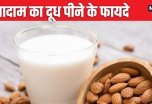 इस ड्राई फ्रूट से बना दूध सेहत के लिए है अमृत, गाय-भैंस के मिल्क समान पौष्टिक, ब्लड शुगर, वजन कम करने में रामबाण