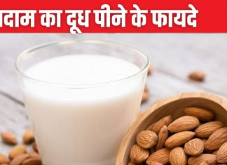 इस ड्राई फ्रूट से बना दूध सेहत के लिए है अमृत, गाय-भैंस के मिल्क समान पौष्टिक, ब्लड शुगर, वजन कम करने में रामबाण