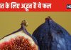 औषधि से कम नहीं है अंजीर, खाएंगे तो खतरनाक बीमारियों के होने का जोखिम होगा कम, कब्ज का अचूक इलाज, ये हैं Fig के लाभ
