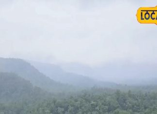 शहर के शोर-गुल से दूर, कोहरे से घिरे पहाड़ और घने जंगल में कॉफी पॉइंट, यहां कीजिए स्वर्ग का अहसास