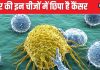 आपके घर के इन 3 चीजों में छिपा है कैंसर होने का खतरा, आज ही कर दें बाहर वरना हो जाएंगे इस घातक बीमारी के शिकार