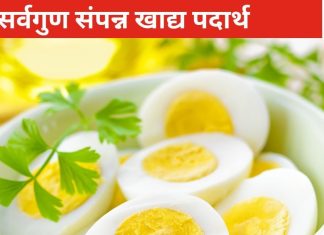 क्यों जरूरी है रोज एक अंडा खाना, अंगों में शिथिलन और शरीर में रहती है कमजोरी तो जरूर जानिए इसे, खुशी मिलेगी