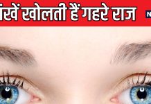 भूरी आंखों वाले होते हैं रचनात्मक, आंखों के 6 रंगों से पहचानें पर्सनालिटी, क्या कहता है सामुद्रिक शास्त्र