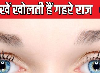 भूरी आंखों वाले होते हैं रचनात्मक, आंखों के 6 रंगों से पहचानें पर्सनालिटी, क्या कहता है सामुद्रिक शास्त्र