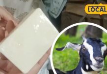 बकरी के दूध से ये चीज भी बनती है… लगा लिया तो चमक जाएगी त्वचा! लोग पूछेंगे खूबसूरती का राज