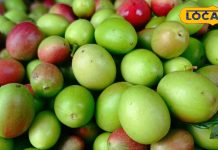 इस सब्जी का बनता है स्पेशल आचार, पाचन शक्ति होती है मजबूत…BP करता है कंट्रोल