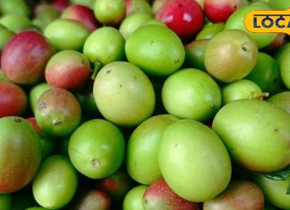 इस सब्जी का बनता है स्पेशल आचार, पाचन शक्ति होती है मजबूत…BP करता है कंट्रोल