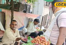 सिर्फ 2 महीने मिलता है यह खट्टा-मीठा फल, जामुन से भी छोटा साइज; डिमांड इतनी कि देखते ही देखते हो जाता है खत्म This fruit is available only for 2 months in this district of MP, its size is smaller than Jamuna.