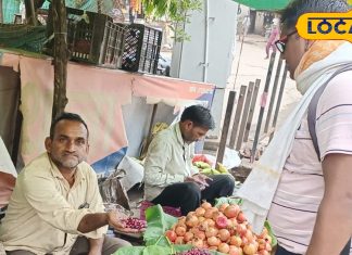 सिर्फ 2 महीने मिलता है यह खट्टा-मीठा फल, जामुन से भी छोटा साइज; डिमांड इतनी कि देखते ही देखते हो जाता है खत्म This fruit is available only for 2 months in this district of MP, its size is smaller than Jamuna.