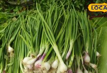 рдХрдИ рдкреМрд╖реНрдЯрд┐рдХ рдЧреБрдгреЛрдВ рд╕реЗ рднрд░рд╛ рд╣реИ рдпреЗ рдкреНрдпрд╛рдЬ, рдмреНрд▓рдб рдкреНрд░реЗрд╢рд░ рд╕реЗ рд▓реЗрдХрд░ рд░реВрдЦреА рддреНрд╡рдЪрд╛ рдореЗрдВ рдХрд╛рд░рдЧрд░