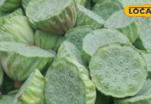 सिर्फ मानसून में मिलता है ये फल, गर्भवती महिलाओं के लिए है वरदान