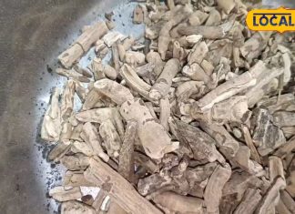दर्जनों बीमारियों का काल है यह औषधि! दर्द-थकावट भी कर सकती है दूर, गिनते रह जाएंगे फायदे