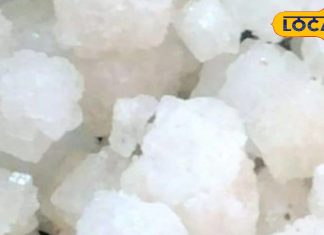 These are 5 types of salt, know which salt cures which disease – Bharat.one हिंदी