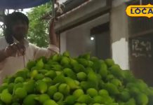 सेहत का खजाना है ये जंगली सब्जी, बाजार में आते ही टूट पढ़ते हैं लोग