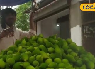 सेहत का खजाना है ये जंगली सब्जी, बाजार में आते ही टूट पढ़ते हैं लोग