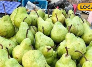 If you eat this fruit keeping your health in mind then know this important thing – Bharat.one हिंदी