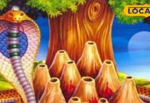 6 साल बाद नाग पंचमी पर 3 दुर्लभ संयोग…4 राशियों की चमकेगी किस्मत! अयोध्या के ज्योतिषी से जानें सब