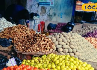 बरसात के मौसम में जरूर खाएं ये सब्जियां, शरीर रहेगा चंगा, बीमारी रहेगी दूर