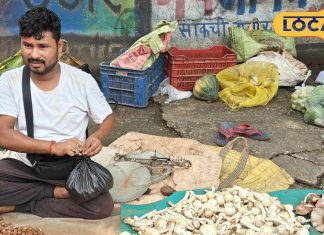 वाह रे फुटकुन! मटन से महंगा… चिकन से स्वादिष्ट, सिर्फ बरसात में मिलती है ये लाजवाब सब्जी