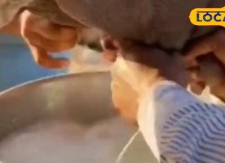 गाय-भैंस-बकरी छोड़िए, इस जानवर का पीजिए दूध, मां के मिल्क जैसा है ताकतवर