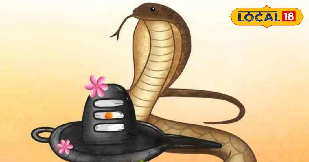 नाग पंचमी पर 6 साल बाद 3 दुर्लभ संयोग…4 राशियों की चमकेगी किस्मत! अयोध्या के ज्योतिषी से जानें सब