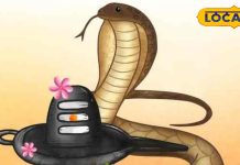 नाग पंचमी पर 6 साल बाद 3 दुर्लभ संयोग…4 राशियों की चमकेगी किस्मत! अयोध्या के ज्योतिषी से जानें सब