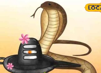 नाग पंचमी पर 6 साल बाद 3 दुर्लभ संयोग…4 राशियों की चमकेगी किस्मत! अयोध्या के ज्योतिषी से जानें सब