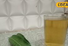 4 आम के पत्तों की चाय पीने से होंगे गजब फायदे, इन बीमारियों का रामबाण इलाज