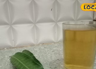 4 आम के पत्तों की चाय पीने से होंगे गजब फायदे, इन बीमारियों का रामबाण इलाज