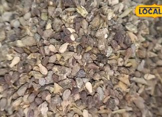 कई तरह की बीमारियों से लड़ने में सहायक है यह औषधि, ऐसे करें उपयोग मिलेगा फायदा