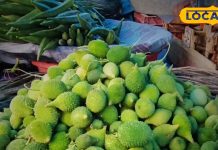 शाकाहारी लोगों के लिए ‘मटन’ है यह सब्जी, सिर्फ बारिश में मिलती, फायदे जान आप हो जाएंगे हैरान-‘Mutton’ is this vegetable for vegetarian people, available only in rainy season, you will be surprised to know its benefits