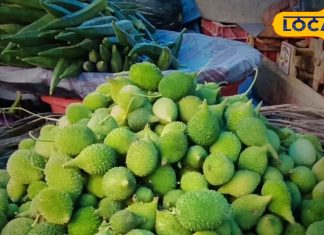 शाकाहारी लोगों के लिए ‘मटन’ है यह सब्जी, सिर्फ बारिश में मिलती, फायदे जान आप हो जाएंगे हैरान-‘Mutton’ is this vegetable for vegetarian people, available only in rainy season, you will be surprised to know its benefits