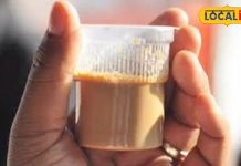 क्या डिस्पोजल के कप-प्लेट में कर रहे चाय-नाश्ता? तो आपके शरीर में ऐसे जा रहा जहर