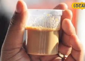 क्या डिस्पोजल के कप-प्लेट में कर रहे चाय-नाश्ता? तो आपके शरीर में ऐसे जा रहा जहर