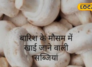 मानसून में इन सब्जियों का करें सेवन, सेहत रहेगी फिट और फ्रेश, इम्यूनिटी सिस्टम सहित कई बीमारियों में कारगर