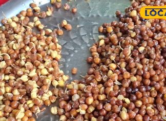 बहराइच में फेमस है मंगनु के चने, चार वैरायटी में उपलब्ध; नींबू-प्याज मसाला बढ़ा देता है स्वाद