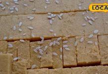 बेसन से तैयार होती है यह खास मिठाई, काजू-पिस्ता से लबालब, सिर्फ 380 रुपये कीमत