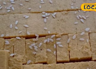 बेसन से तैयार होती है यह खास मिठाई, काजू-पिस्ता से लबालब, सिर्फ 380 रुपये कीमत