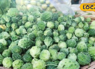 सिर्फ 15 दिन मिलती है ये सब्जी, बरसात में दवाई से कम नहीं, जानिए फायदे