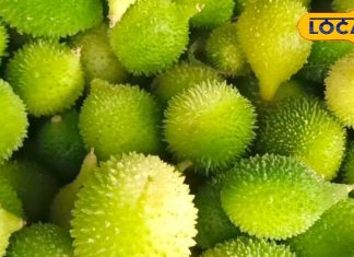 चिकन-मटन से ज्यादा ताकतवर है ये हरी लीची की तरह दिखने वाली सब्जी…जानें इसके जबरदस्त फायदे