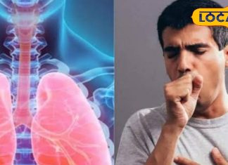 कफ,सर्दी और खांसी से हैं परेशान? तो अपनाएं ये देसी एक्सपर्ट नुस्खे,मिलेगा अराम