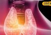 क्या आप भी हैं थायराइड से परेशान, खान पान में शामिल करें यह चीजें, जानें डायटीशियन से प्लान-Are you also troubled by thyroid? Include these things in your diet, know what the dietician said