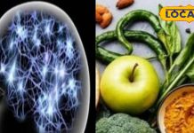 याददाश्त हो रही कमजोर? तुरंत खाने लगें ये चीजें, ‘चाचा चौधरी’ से भी तेज हो जाएगा दिमाग