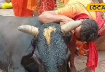 महादेव के साथ करें इनकी भी पूजा, शुभफल की होगी प्राप्ति, देवघर के ज्योतिषी से जानें