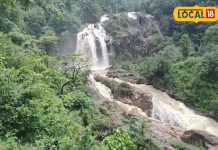 छत्तीसगढ़ में 100 फीट ऊंचाई से गिरने वाले इस वाटरफॉल का हर कोई दीवाना